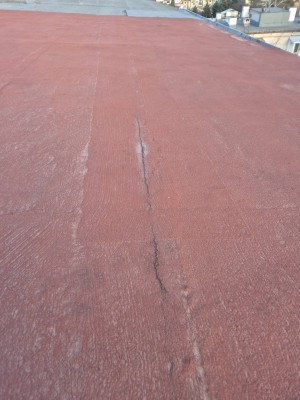 pic1.jpg