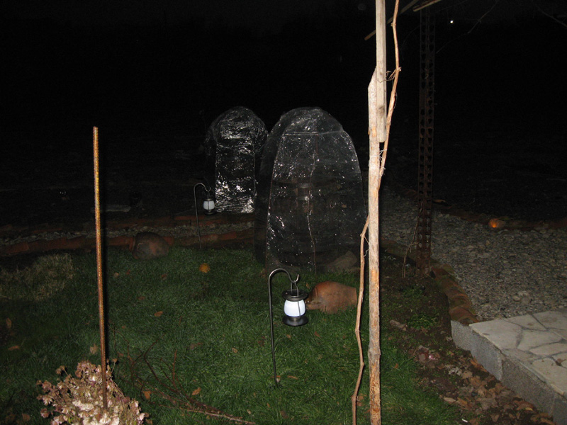 Copy (1) of Picture 007-1.jpg