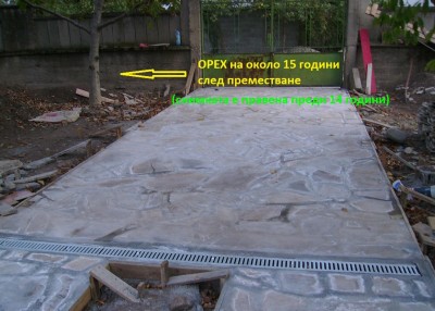 ОРЕХ.jpg