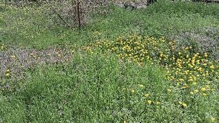IMG_20250729_222649.jpg