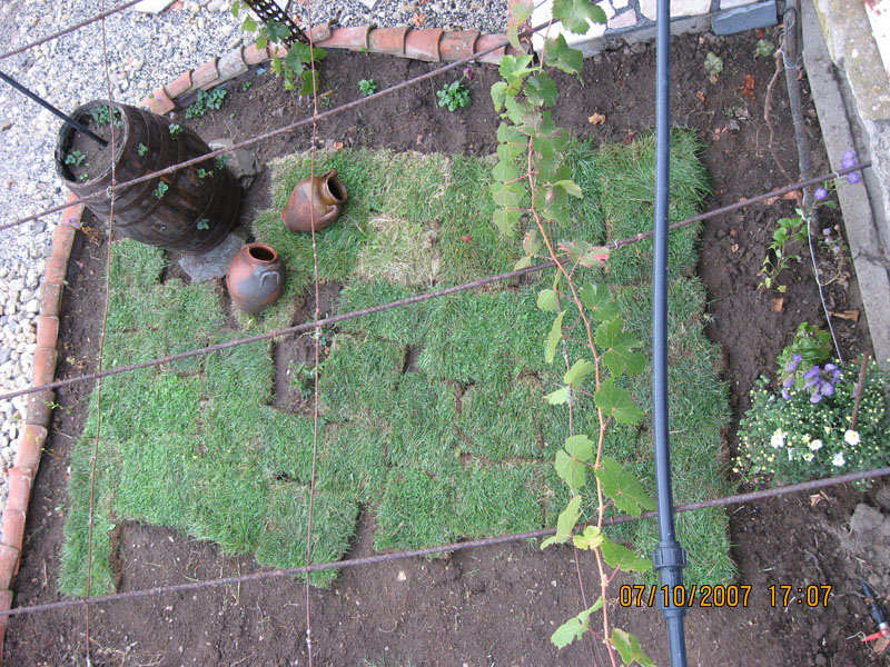 Copy (3) of Picture 021-1.jpg