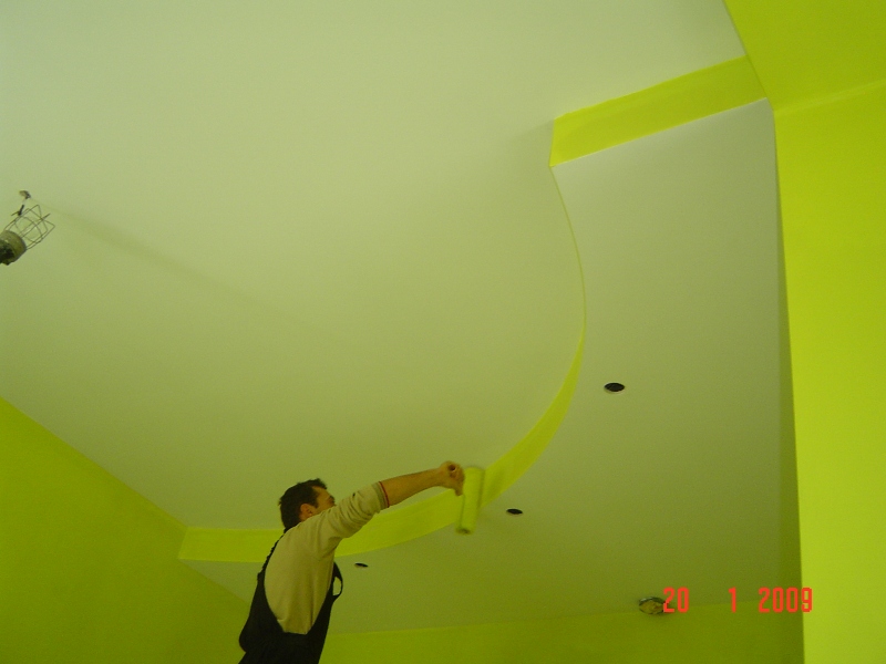 Pepi na tavana v kuhniata.JPG