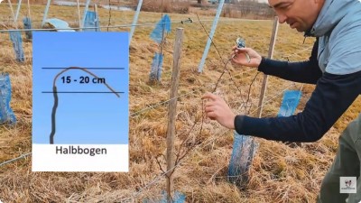 Полуаркова форма.jpg