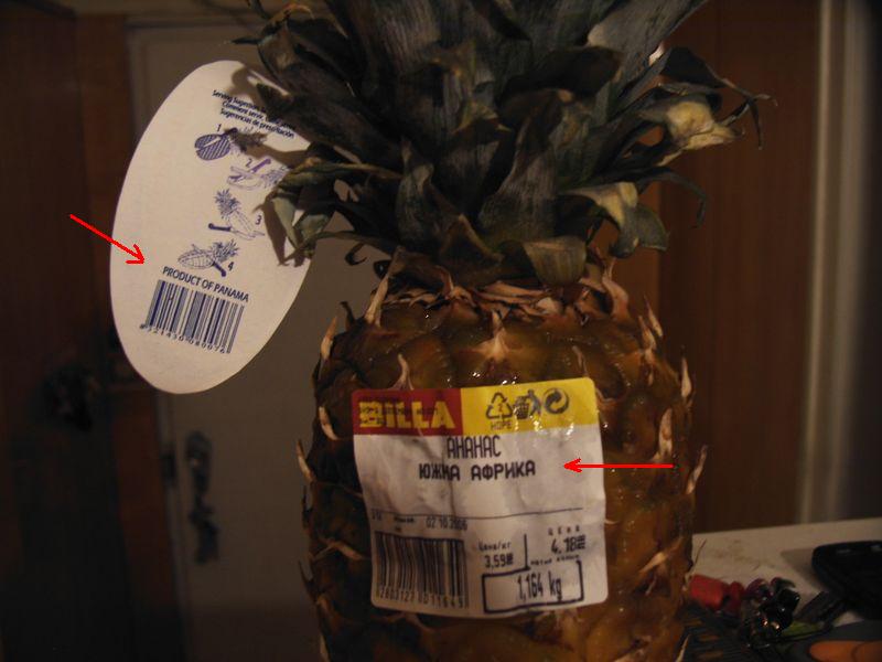 Ananas01.JPG