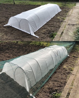 През 2026-та.jpg