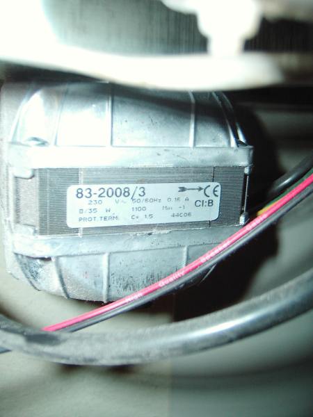 IMG_5014 [800x600].JPG