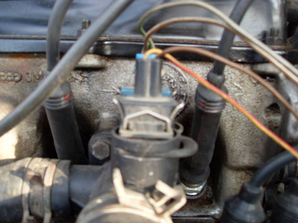 SDC11539.jpg
