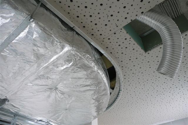 boyana 087 (Small).jpg