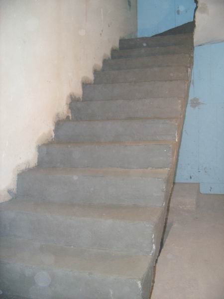 Resize of SS850293.JPG