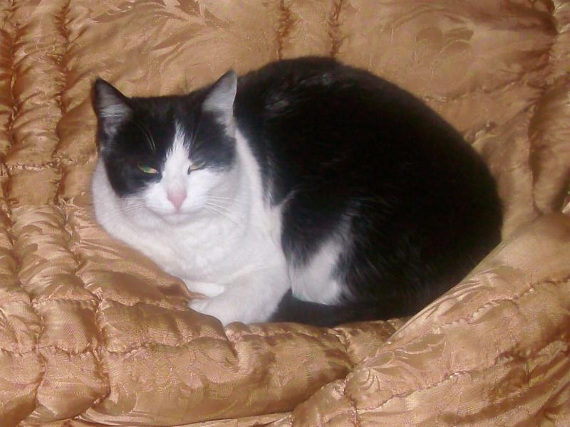 Любимата ми Дарка.JPG