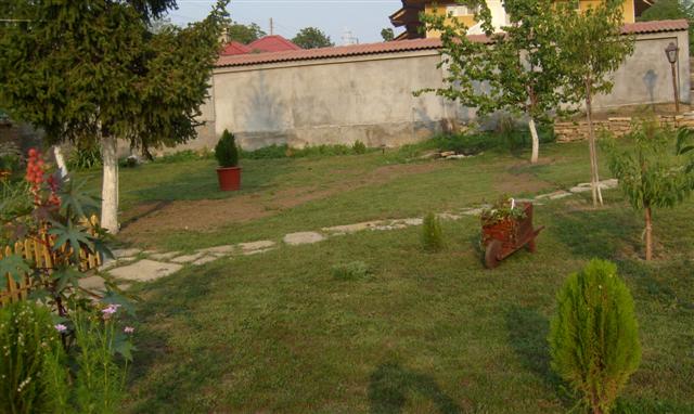 S6300205_hf (Small).JPG