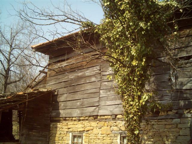 DSCI0399 (Small).JPG