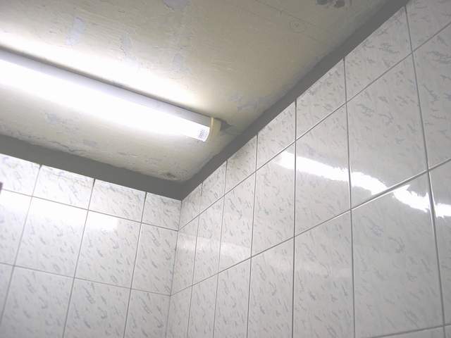 02Zamazka pod tavana.jpg