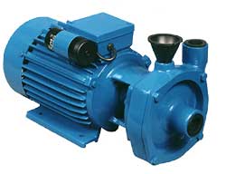 Помпа Вида.jpg