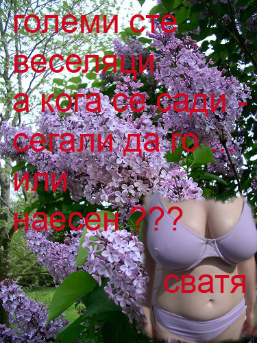 svatya.jpg