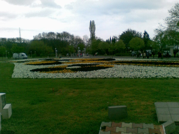 Flora (2)_resize.jpg