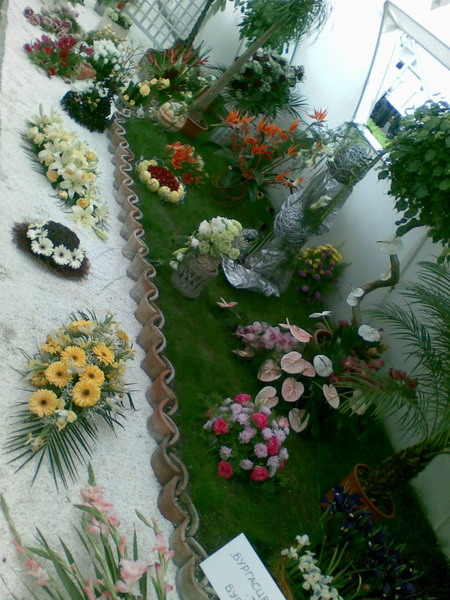 Flora (8)_resize.jpg