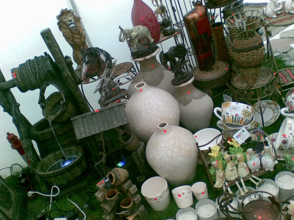 Flora (14)_resize.jpg