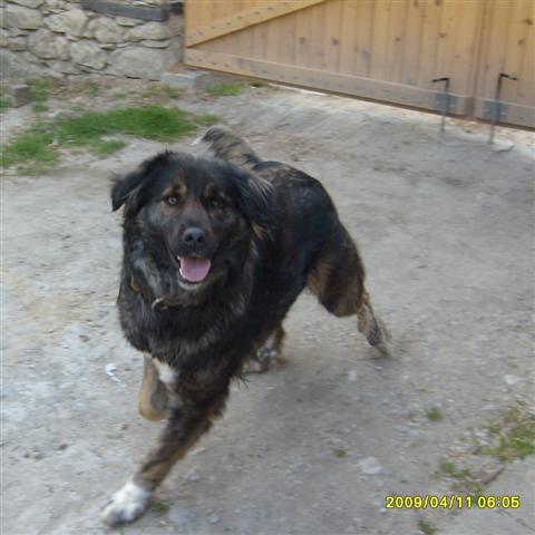 S6301366_hf (Small).JPG