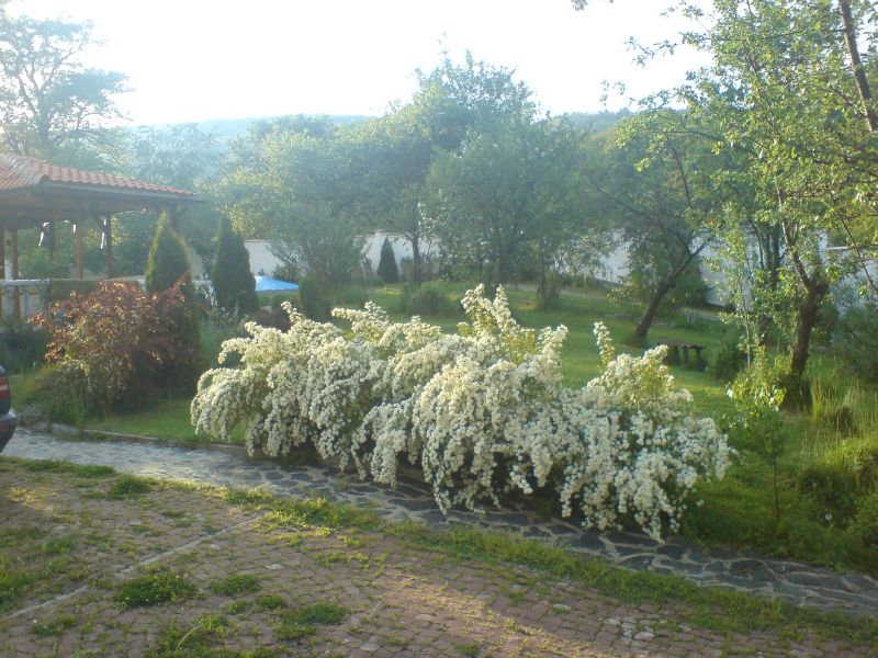 DSC00392.JPG