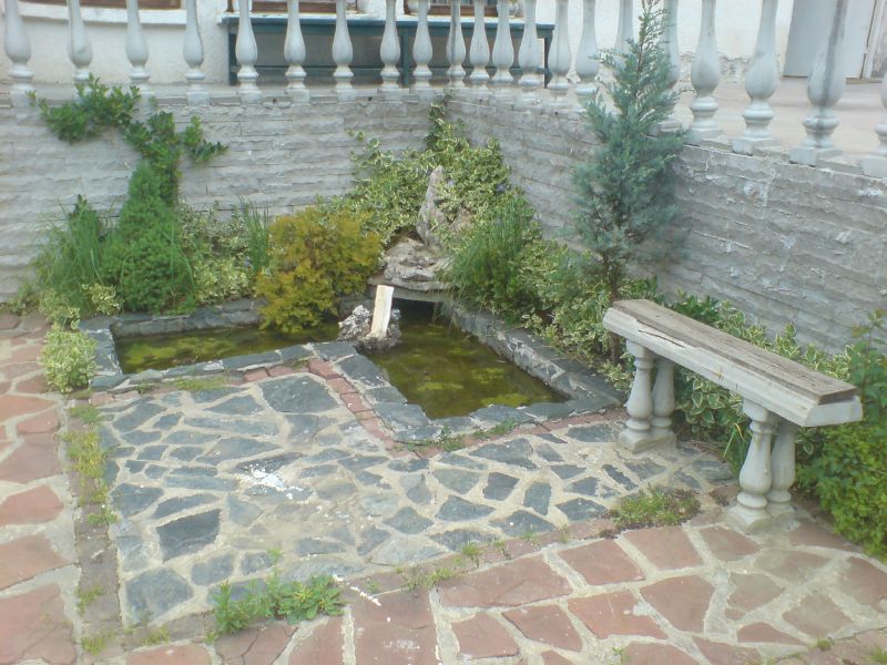 DSC00391.JPG