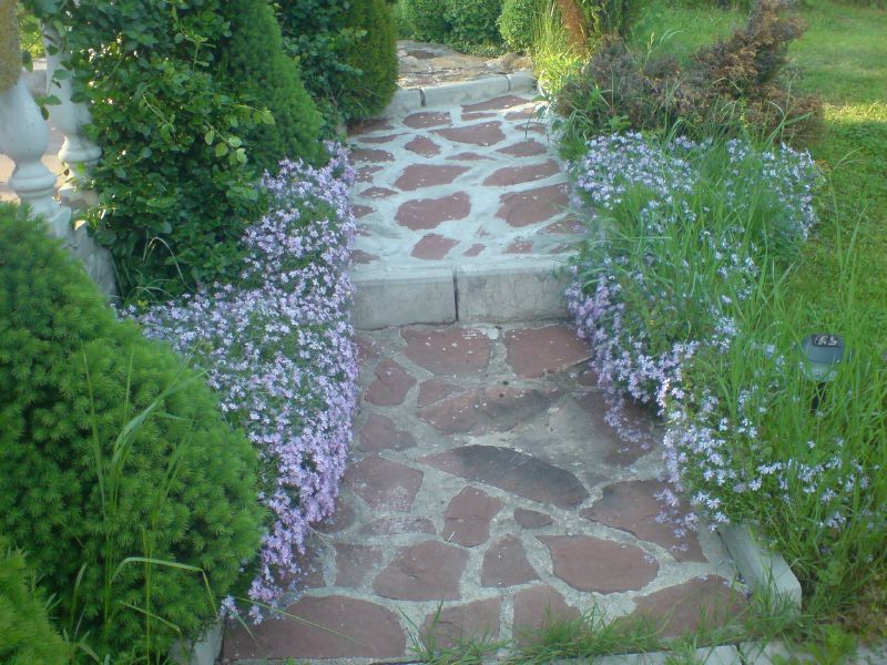 DSC00394.JPG