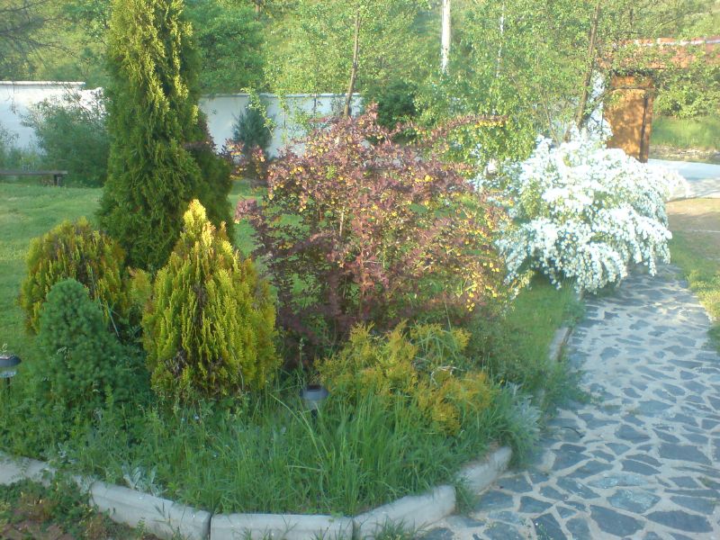 DSC00395.JPG