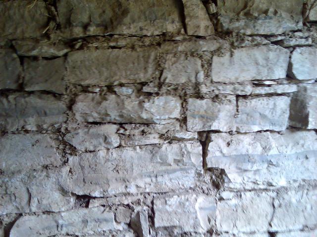 Copy of Изображ.091.jpg