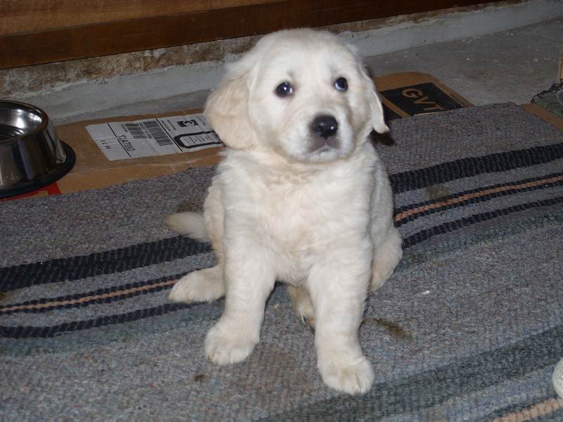 Resize of SS850947.JPG