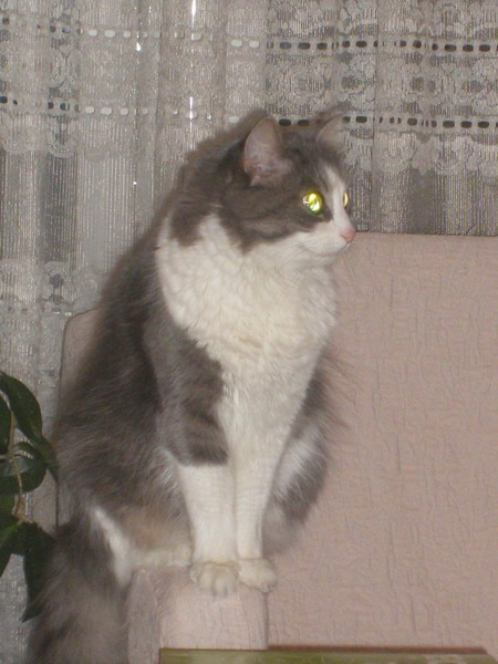 Copy of IMGP0519.jpg