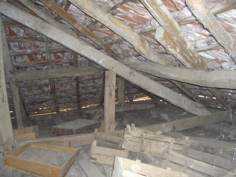 CIMG6025.jpg