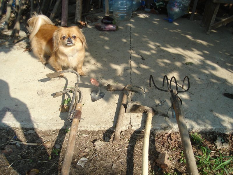 DSC08497.JPG