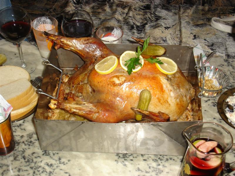 DSC03682 (Medium).JPG