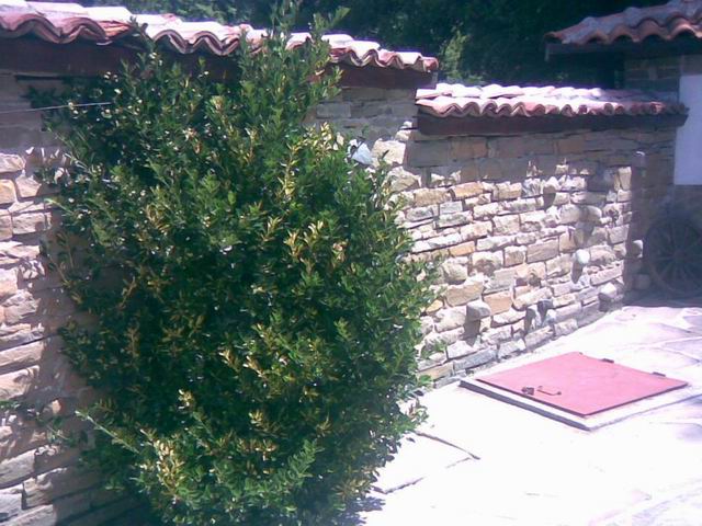 Resize of 013799008-big.jpg