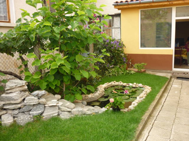 014606876.jpg