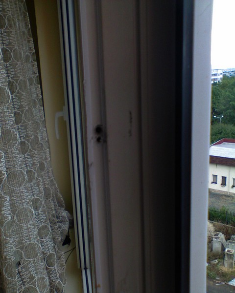 DSC00002.JPG