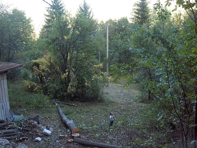 HPIM0033_1.jpg