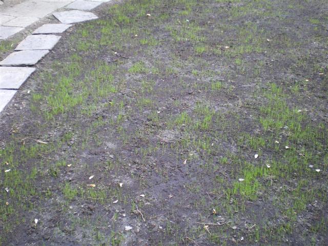 IMGP2959 (Small).JPG