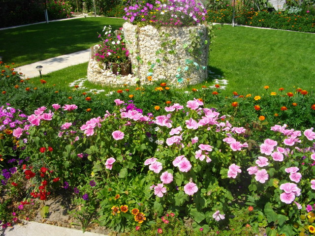 IMGP1015_изм-е размера.JPG