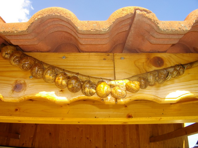 IMGP0656_изм-е размера.JPG