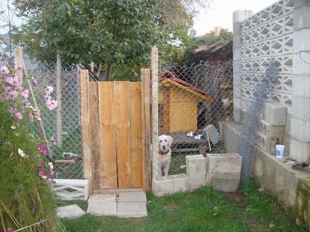 Resize of SS851616.jpg