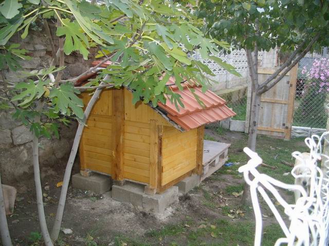 Resize of SS851621.jpg