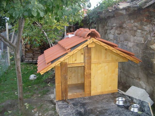 Resize of SS851618.jpg