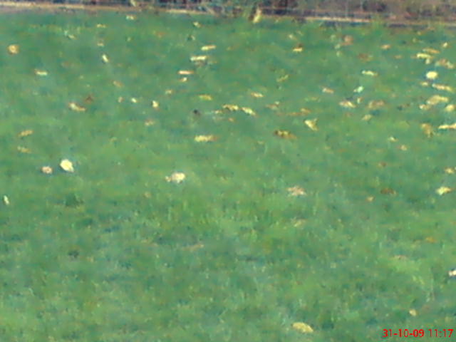 DSC01062.JPG