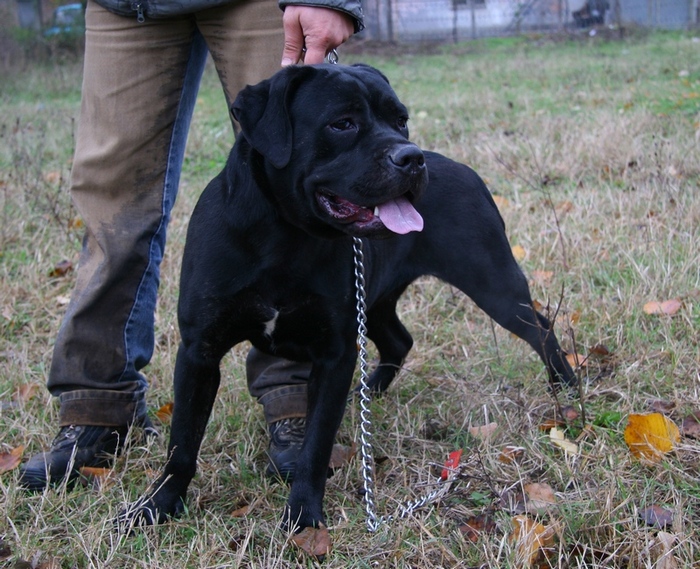 Адис Абеба.JPG