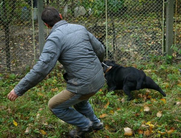 IАдис Абеба1.JPG