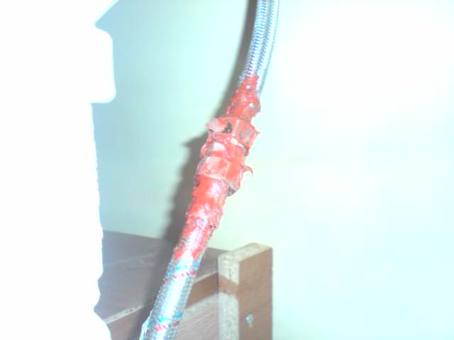 P181109_11.27.JPG