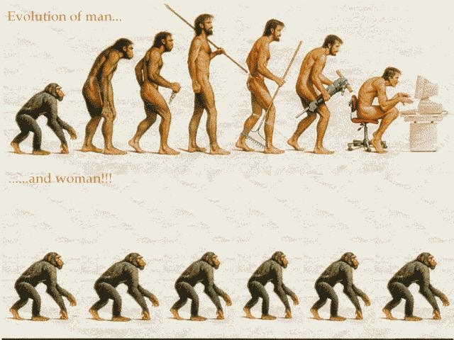 evolution.JPG
