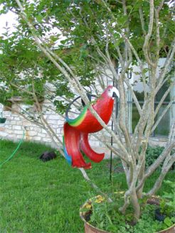 redparrottree.jpg