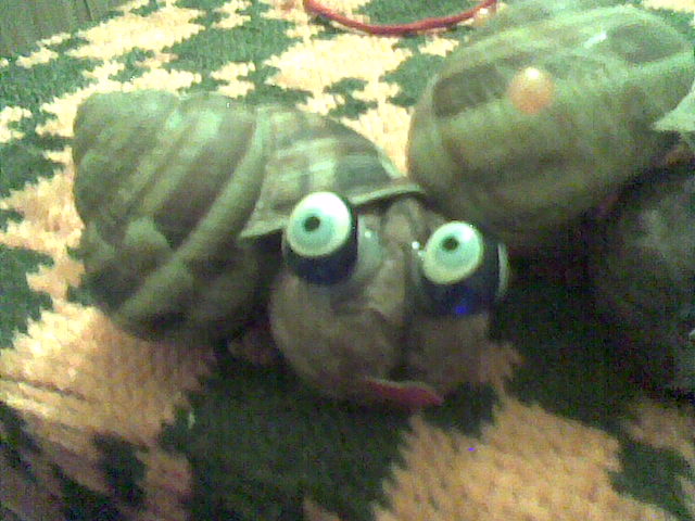 убичъм тъ тфа е!000.jpg